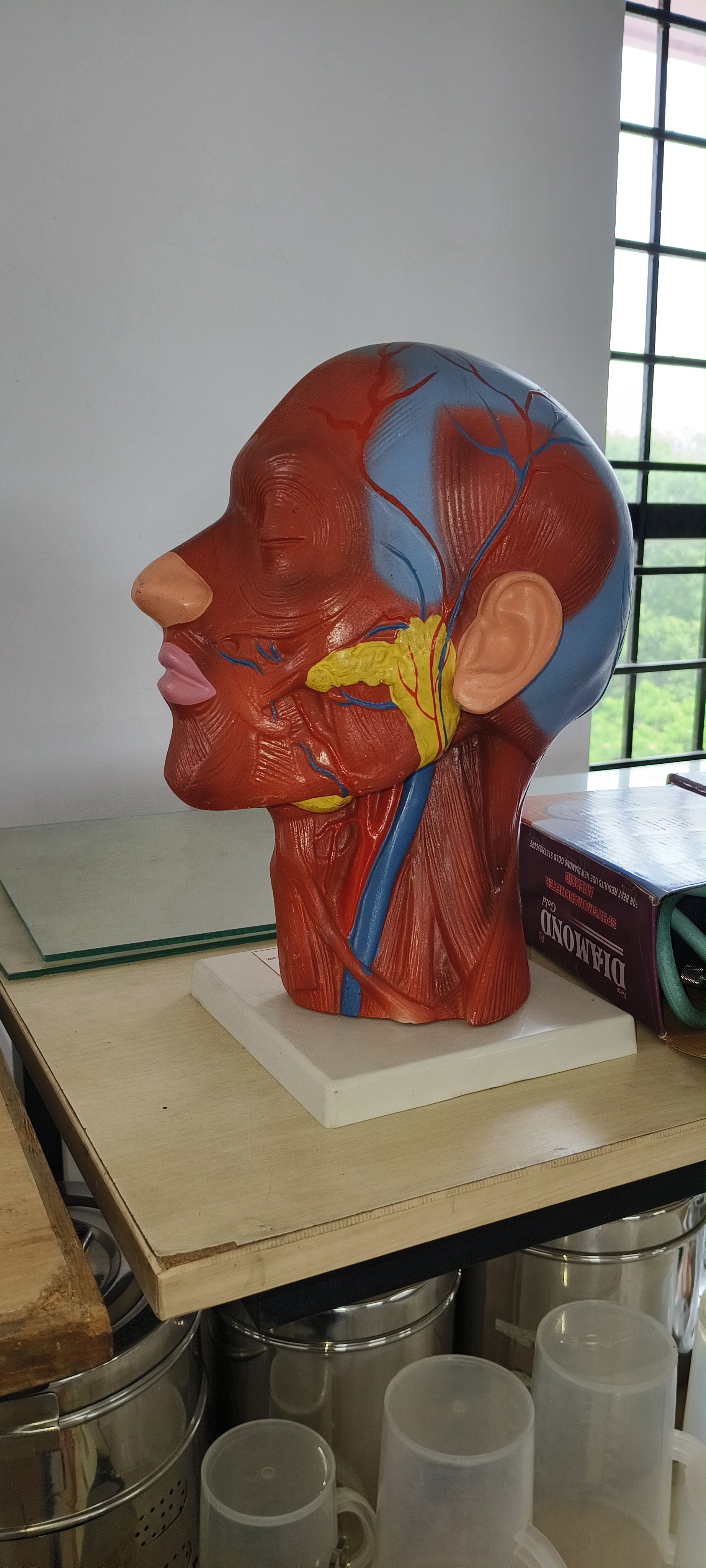 Rohit Sharma profile image